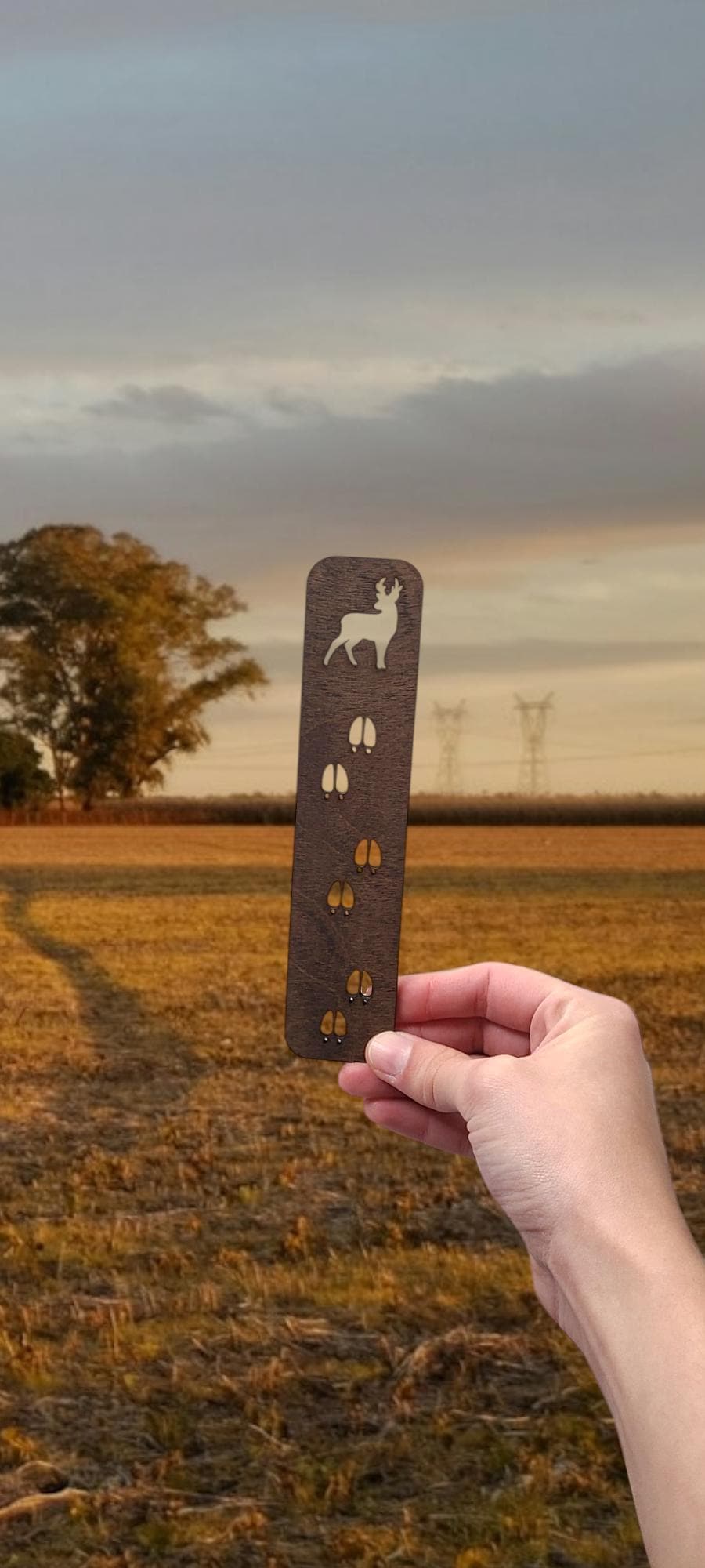 Wildlife bookmark nature
